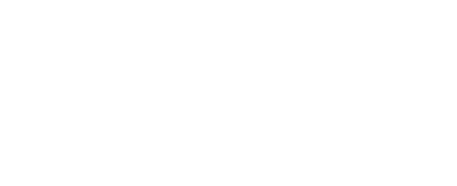 Naavik white logo