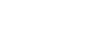 Logo Naavik.co